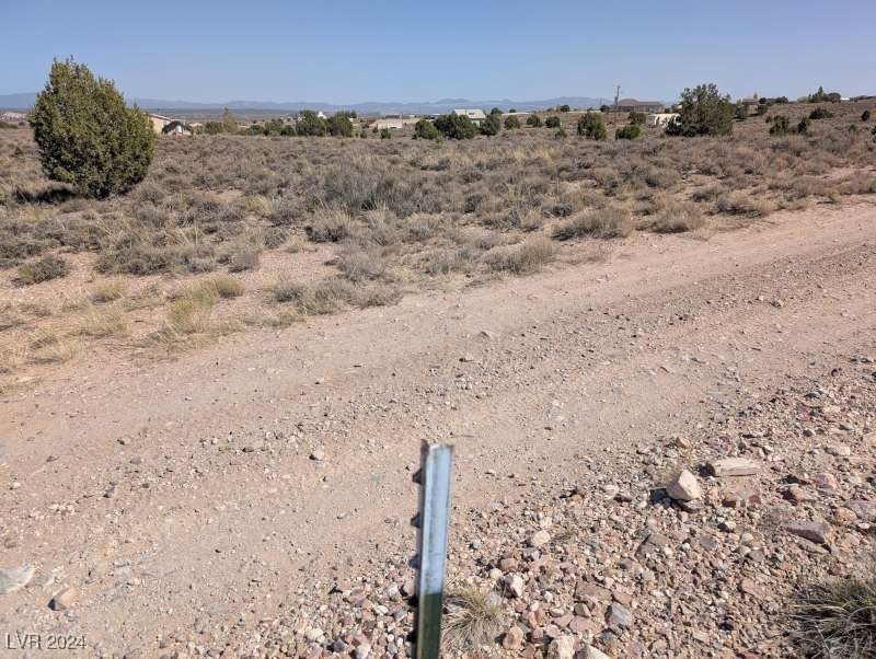 0 Pinyon Pine Pioche, NV 89043 - Photo 11 of 18