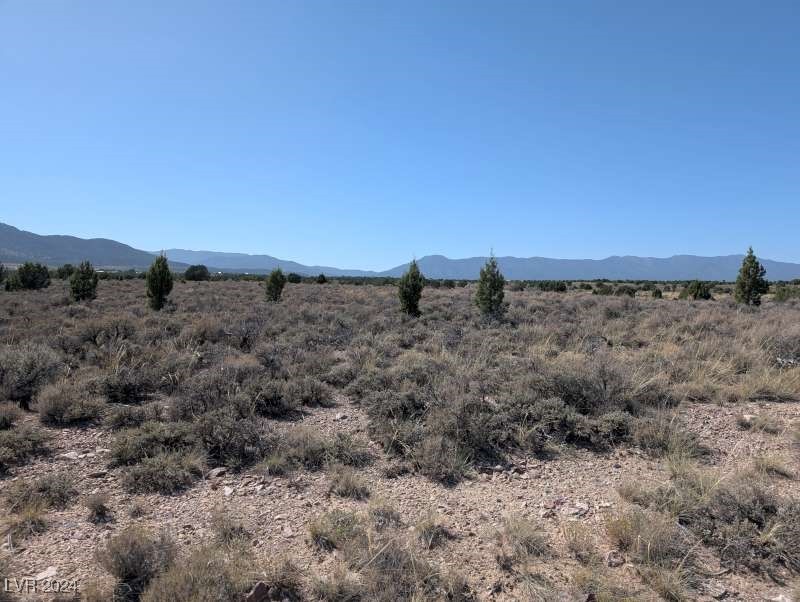 0 Pinyon Pine Pioche, NV 89043 - Photo 13 of 18