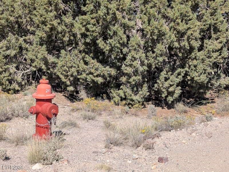 0 Pinyon Pine Pioche, NV 89043 - Photo 15 of 18