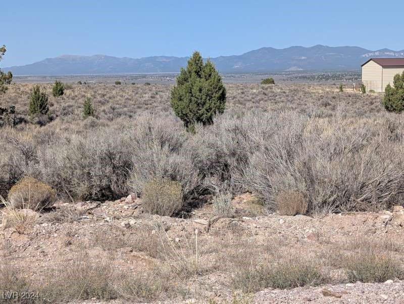 0 Pinyon Pine Pioche, NV 89043 - Photo 16 of 18