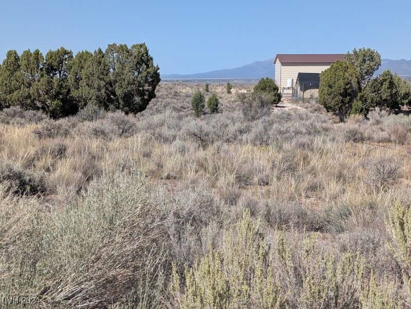 0 Pinyon Pine Pioche, NV 89043 - Photo 17 of 18
