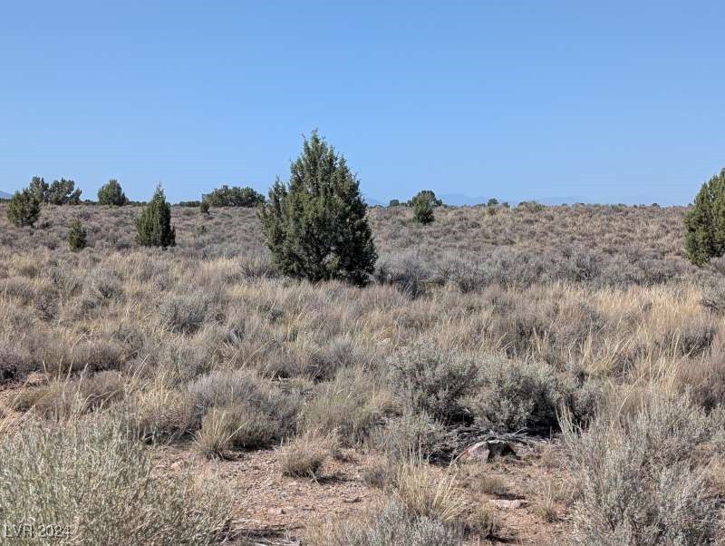 0 Pinyon Pine Pioche, NV 89043 - Photo 18 of 18