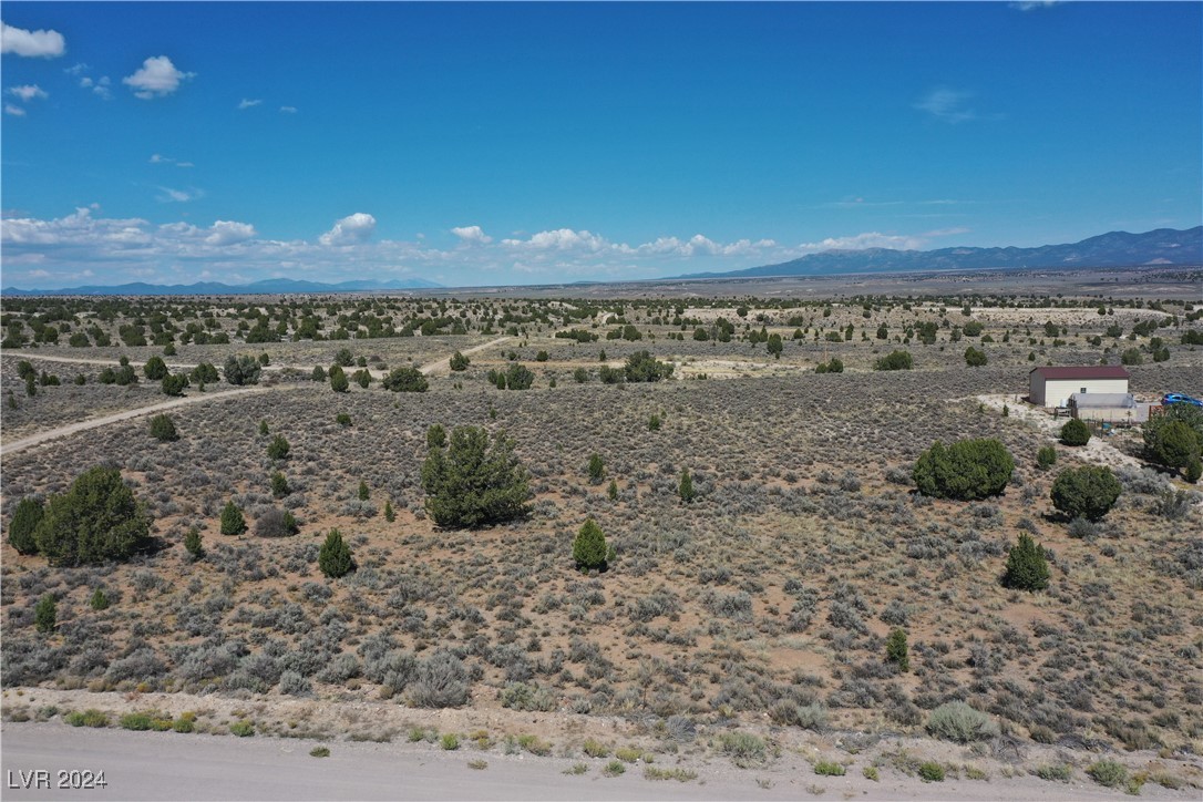 0 Pinyon Pine Pioche, NV 89043 - Photo 6 of 18