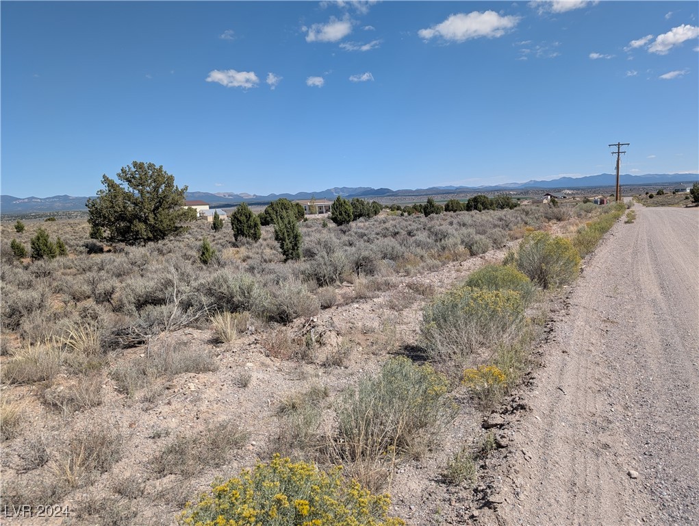 0 Pinyon Pine Pioche, NV 89043 - Photo 9 of 18