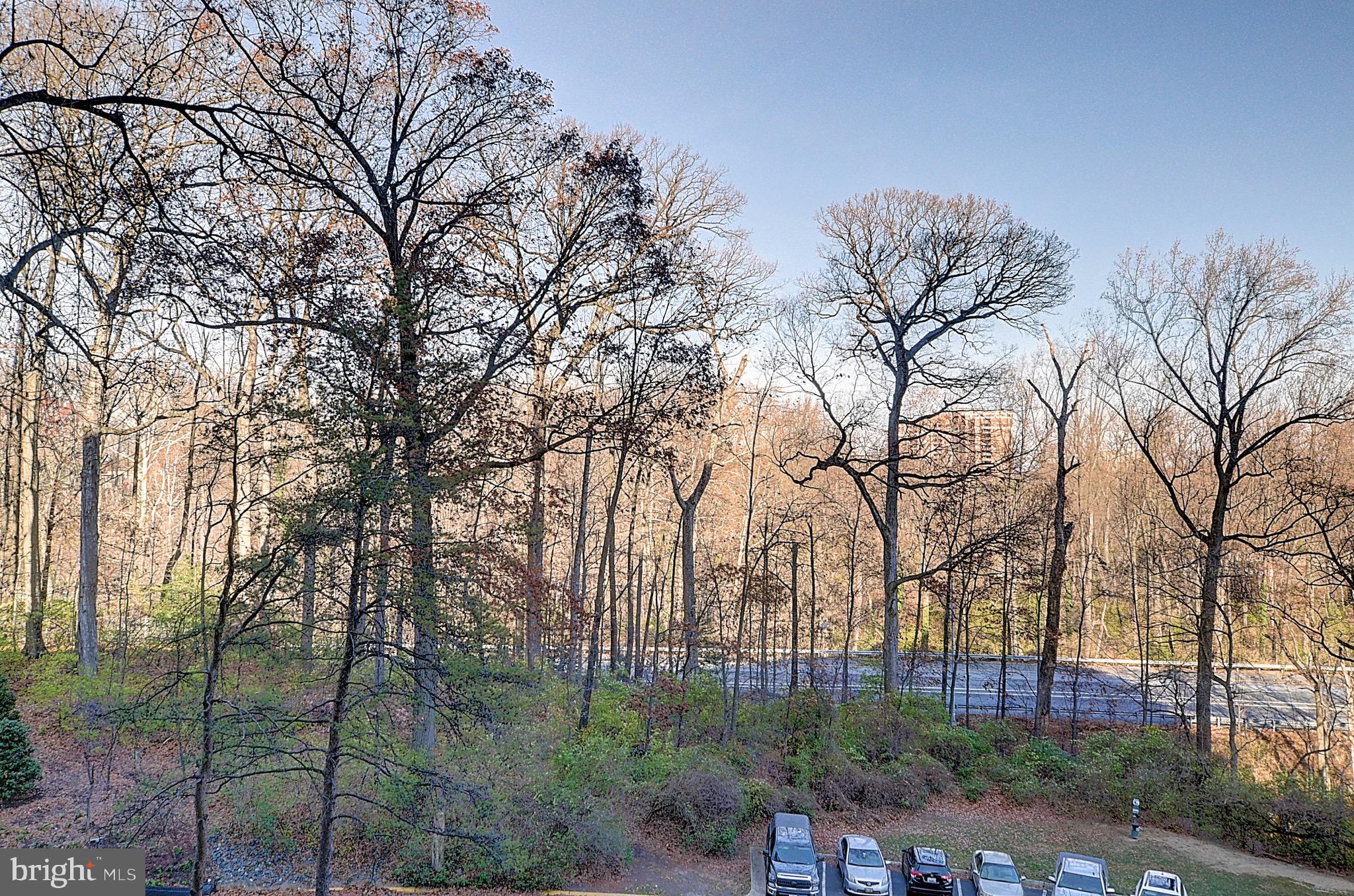 5225 Pooks Hill Road, Unit 324N Bethesda, MD 20814 - Photo 13 of 34 a view of a backyard