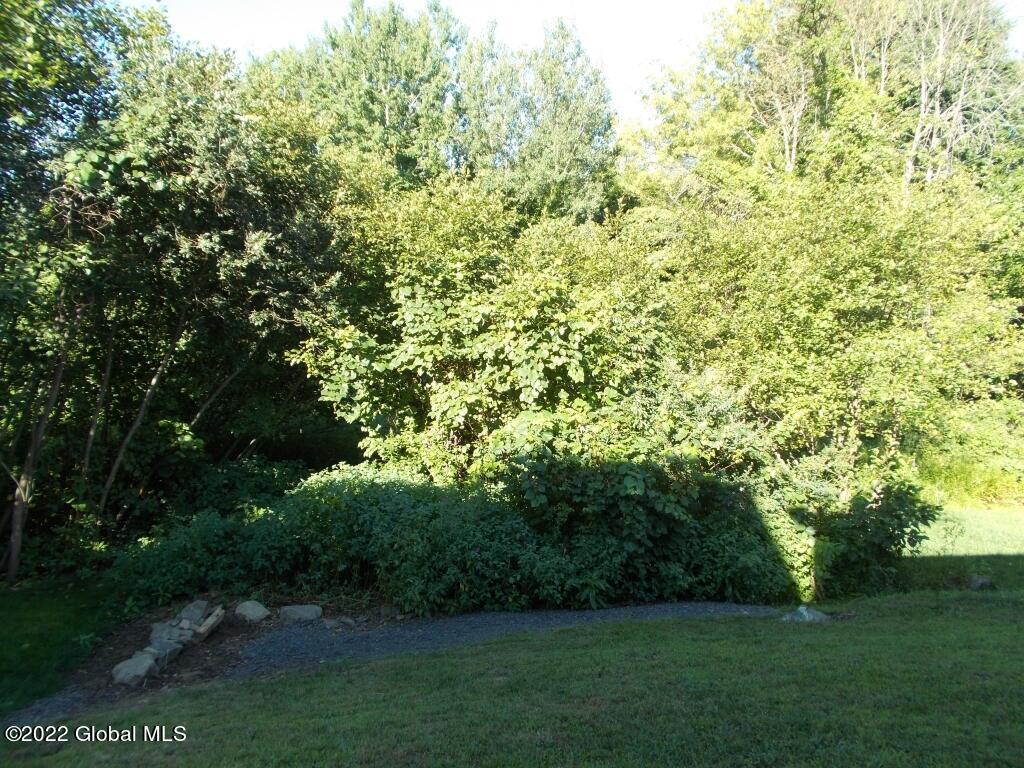 33 Reutter Drive Bethlehem, NY 12158 - Photo 4 of 19 04-4-back-yard