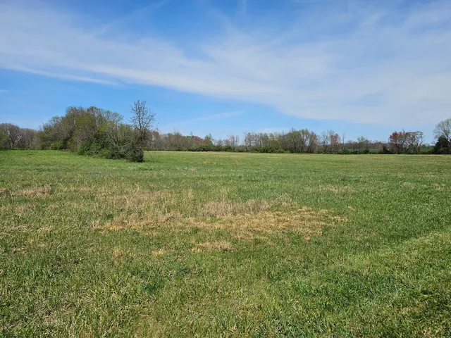 $420,000 | 17225 Akin Blacktop, Benton, IL 62812