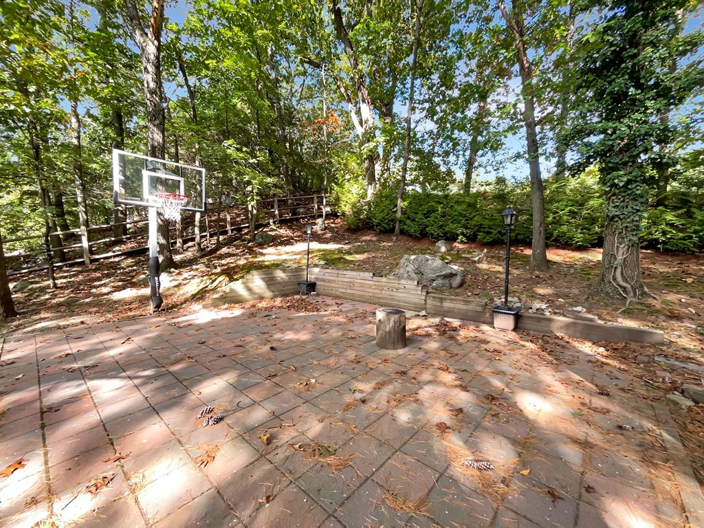 22 Watertown Street Lexington, MA 02421 - Photo 33 of 34 a view of yard with trees