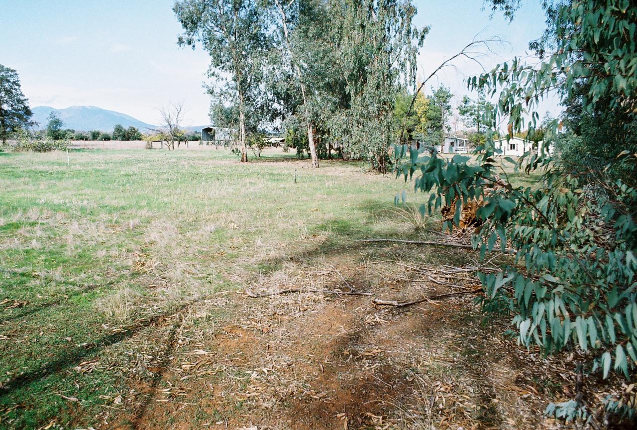 17174 Lassen Avenue Anderson, CA 96007 - Photo 5 of 17 More Land