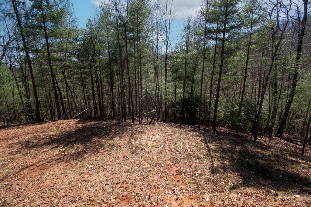 1456 Orton Road Murphy, NC 28906 - Photo 5 of 14