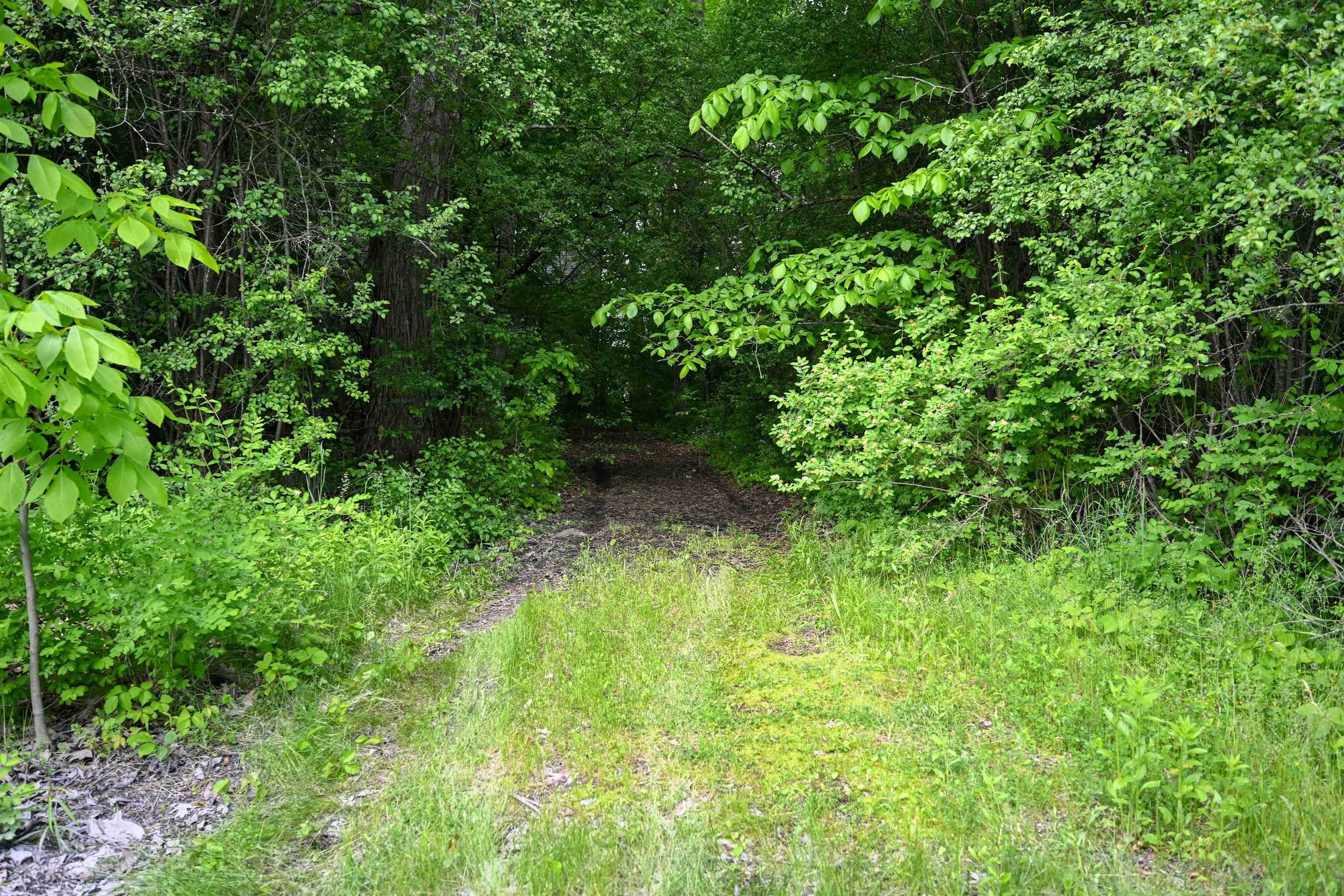 185 Holmes Lane Shoreham, VT 05770 - Photo 25 of 25