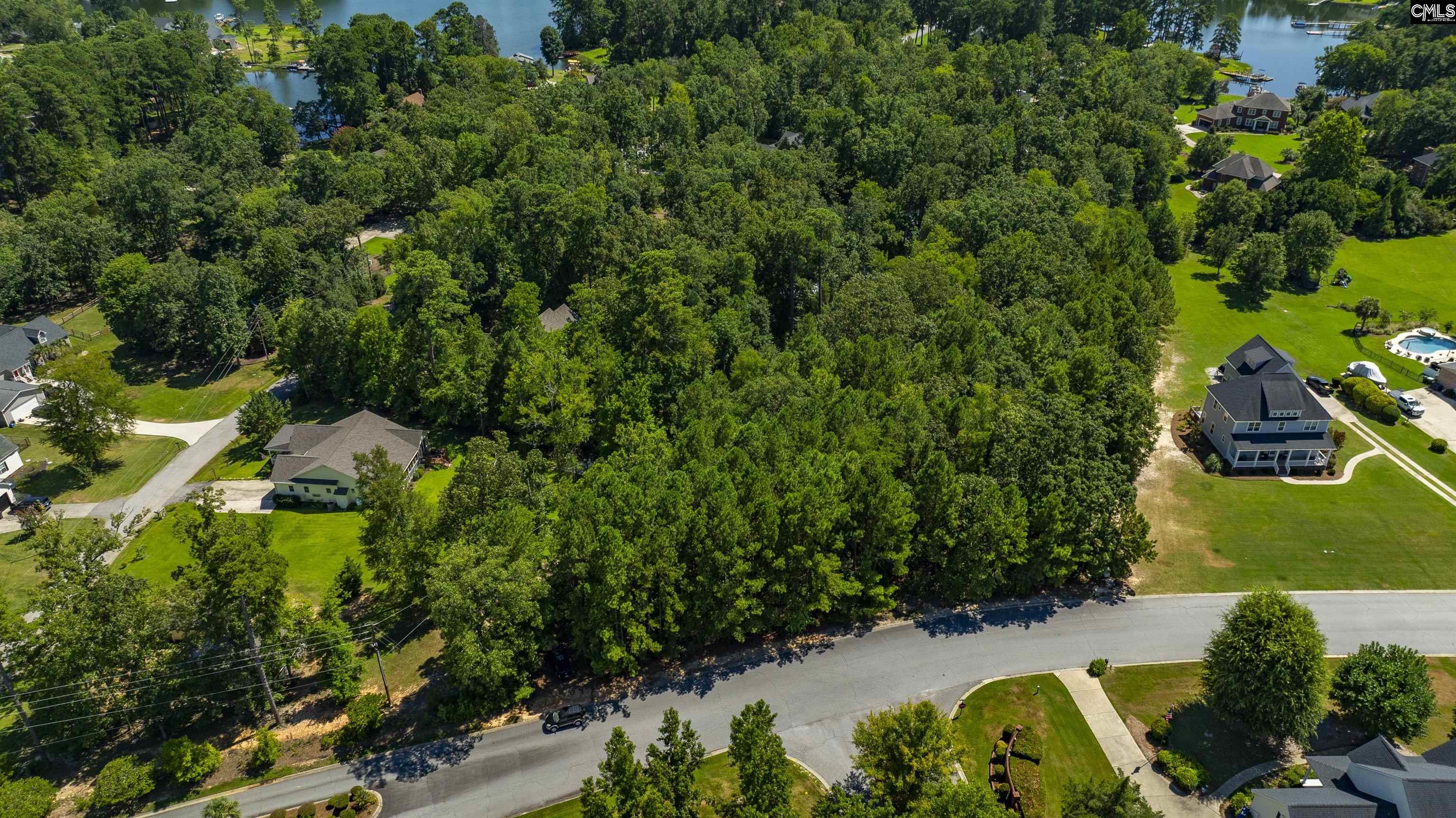 409 Caro Lane Chapin, SC 29036 - Photo 4 of 24