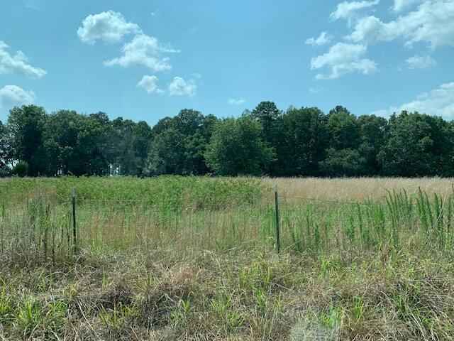 12827 Cranfield Road Birchwood, TN 37308 - Photo 3 of 9 IMG_9426