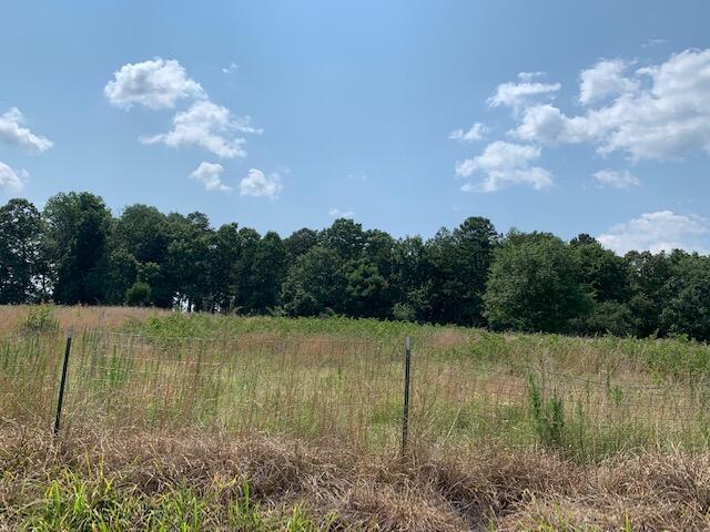 12827 Cranfield Road Birchwood, TN 37308 - Photo 4 of 9 IMG_9427