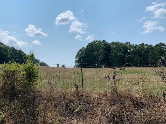 12827 Cranfield Road Birchwood, TN 37308 - Photo 5 of 9 IMG_9429