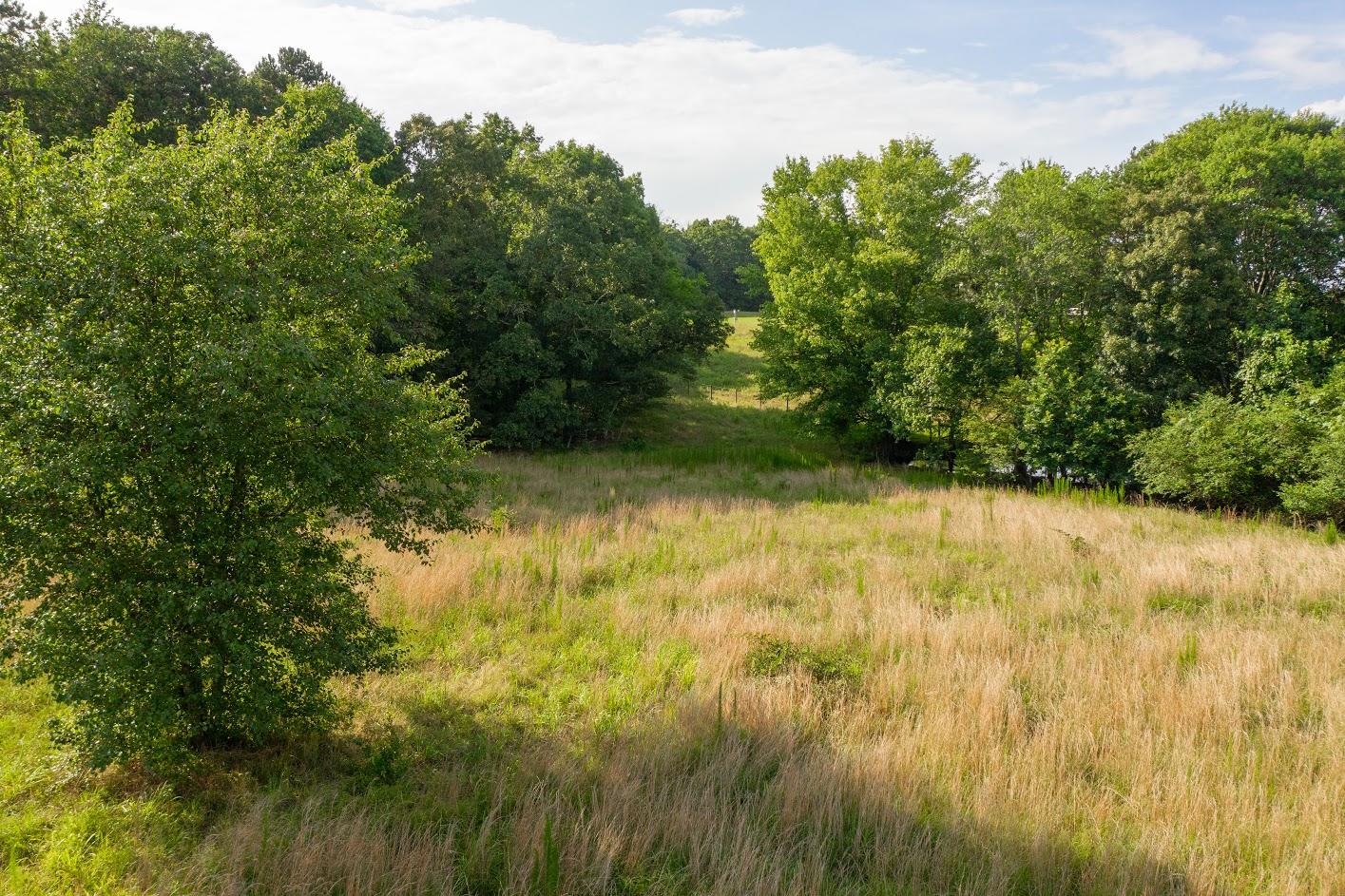 12827 Cranfield Road Birchwood, TN 37308 - Photo 9 of 9 cranfieldrd-6