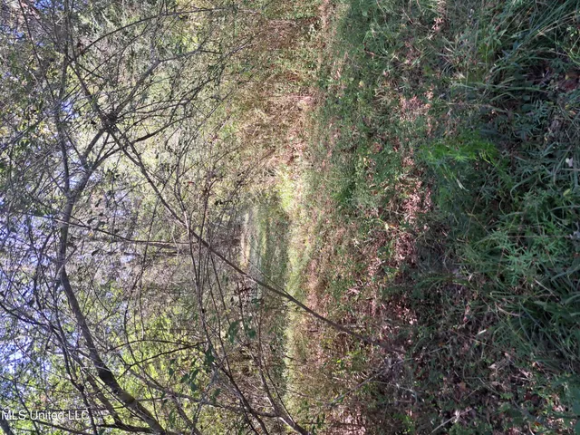 $370,000 | 414 B Sulphur Springs Road, Canton, MS 39046