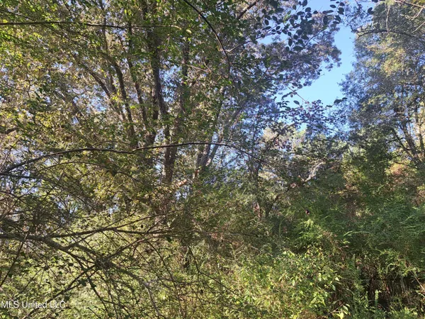 $370,000 | 414 B Sulphur Springs Road, Canton, MS 39046