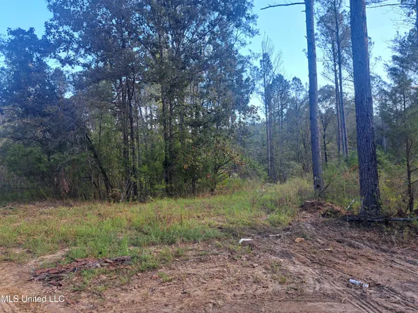 $370,000 | 414 B Sulphur Springs Road, Canton, MS 39046