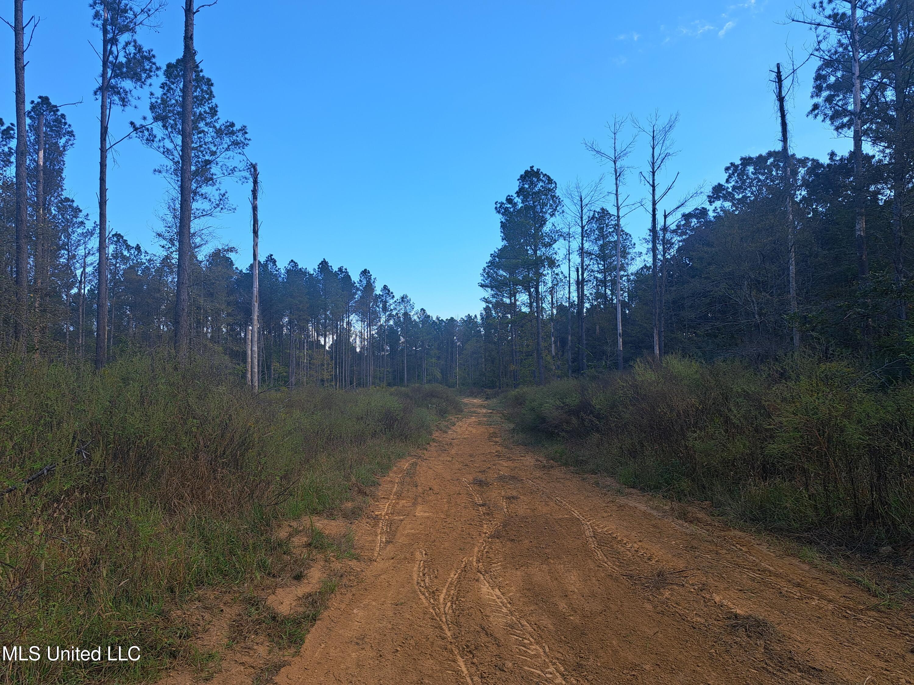 414 B Sulphur Springs Road Canton, MS 39046 - Photo 5 of 13 H5
