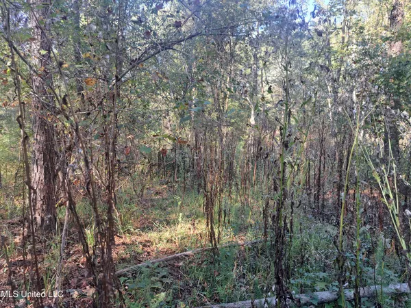 $370,000 | 414 B Sulphur Springs Road, Canton, MS 39046