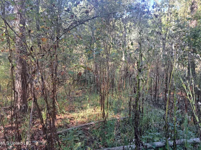 $370,000 | 414 B Sulphur Springs Road, Canton, MS 39046