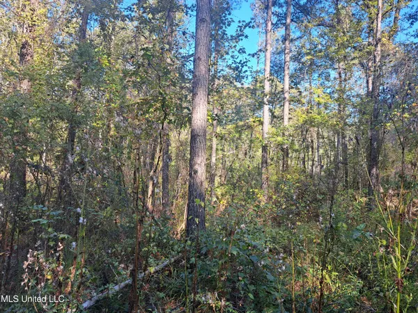 $370,000 | 414 B Sulphur Springs Road, Canton, MS 39046