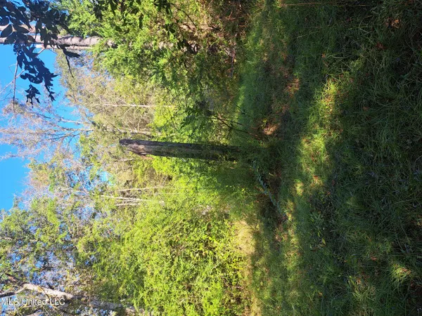 $370,000 | 414 B Sulphur Springs Road, Canton, MS 39046