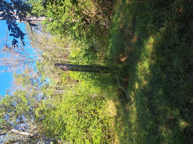 $370,000 | 414 B Sulphur Springs Road, Canton, MS 39046