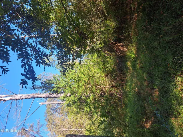 $370,000 | 414 B Sulphur Springs Road, Canton, MS 39046