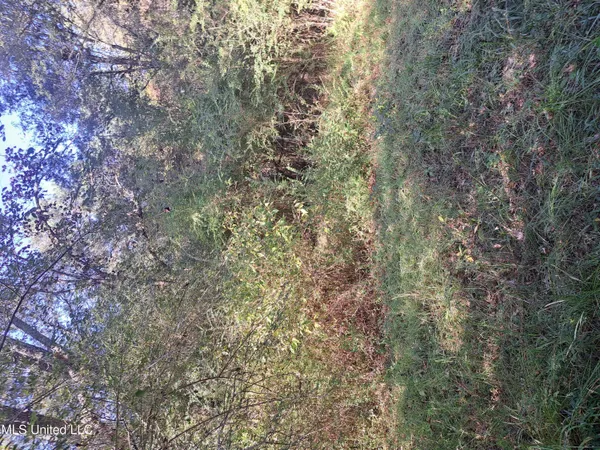 $370,000 | 414 B Sulphur Springs Road, Canton, MS 39046