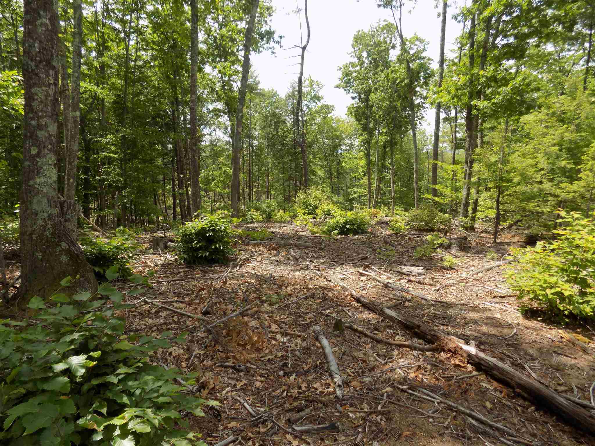 45-2 Jack Russell Road Effingham, NH 03882 - Photo 2 of 3