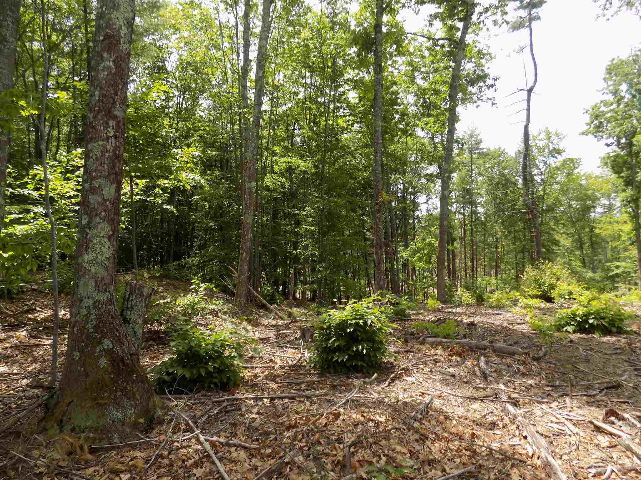 45-2 Jack Russell Road Effingham, NH 03882 - Photo 3 of 3