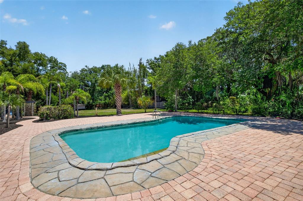 1007 State Street East Oldsmar, FL 34677 - Photo 46 of 65