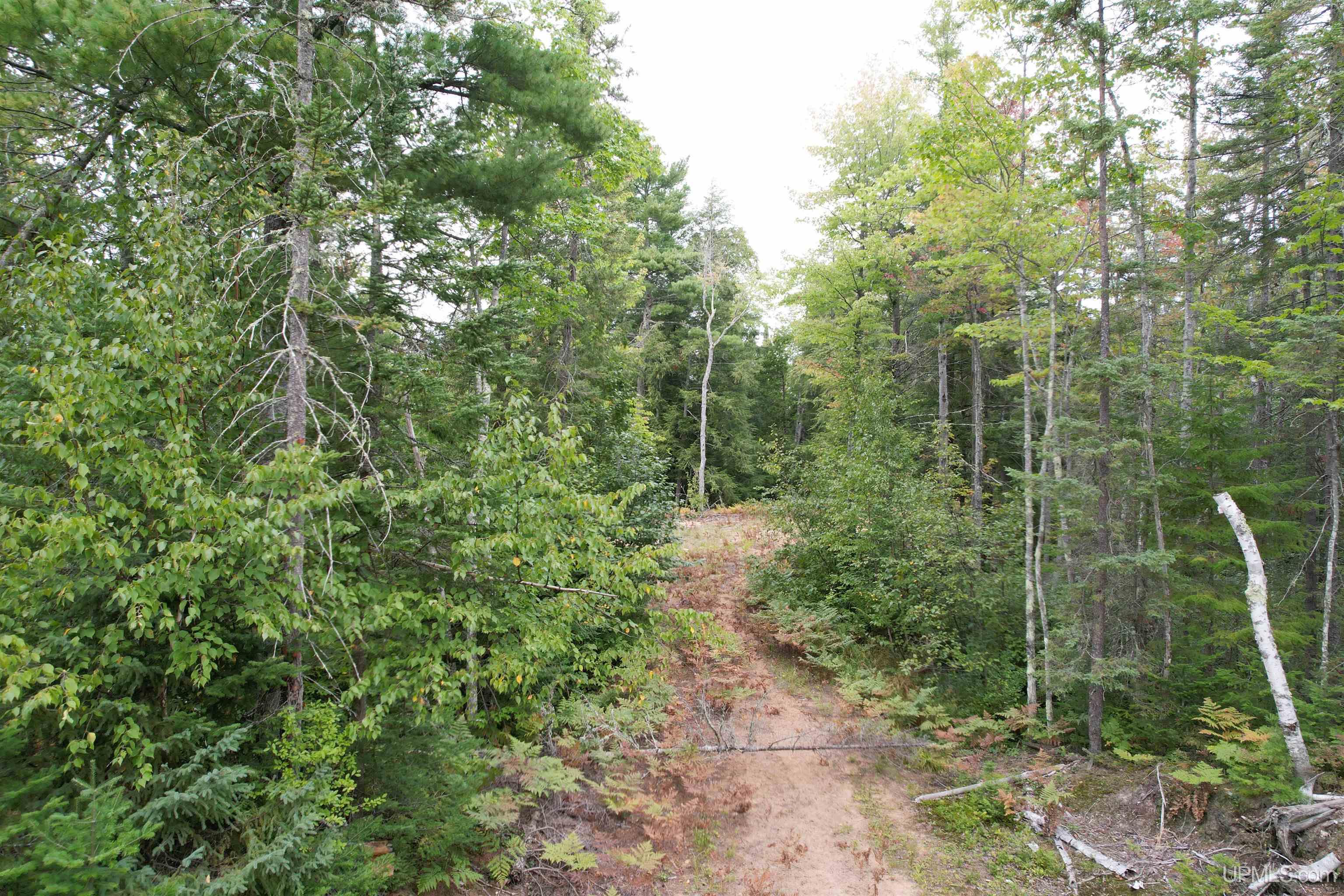 Tbd Evergreen Road Toivola, MI 49965 - Photo 43 of 62
