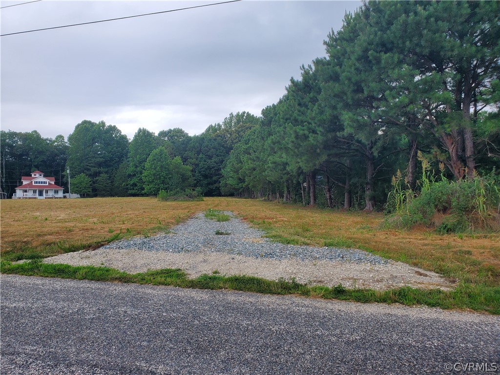 0 Pipe-N-Tree Drive Hartfield, VA 23071 - Photo 8 of 10 a view of a yard with palm tree