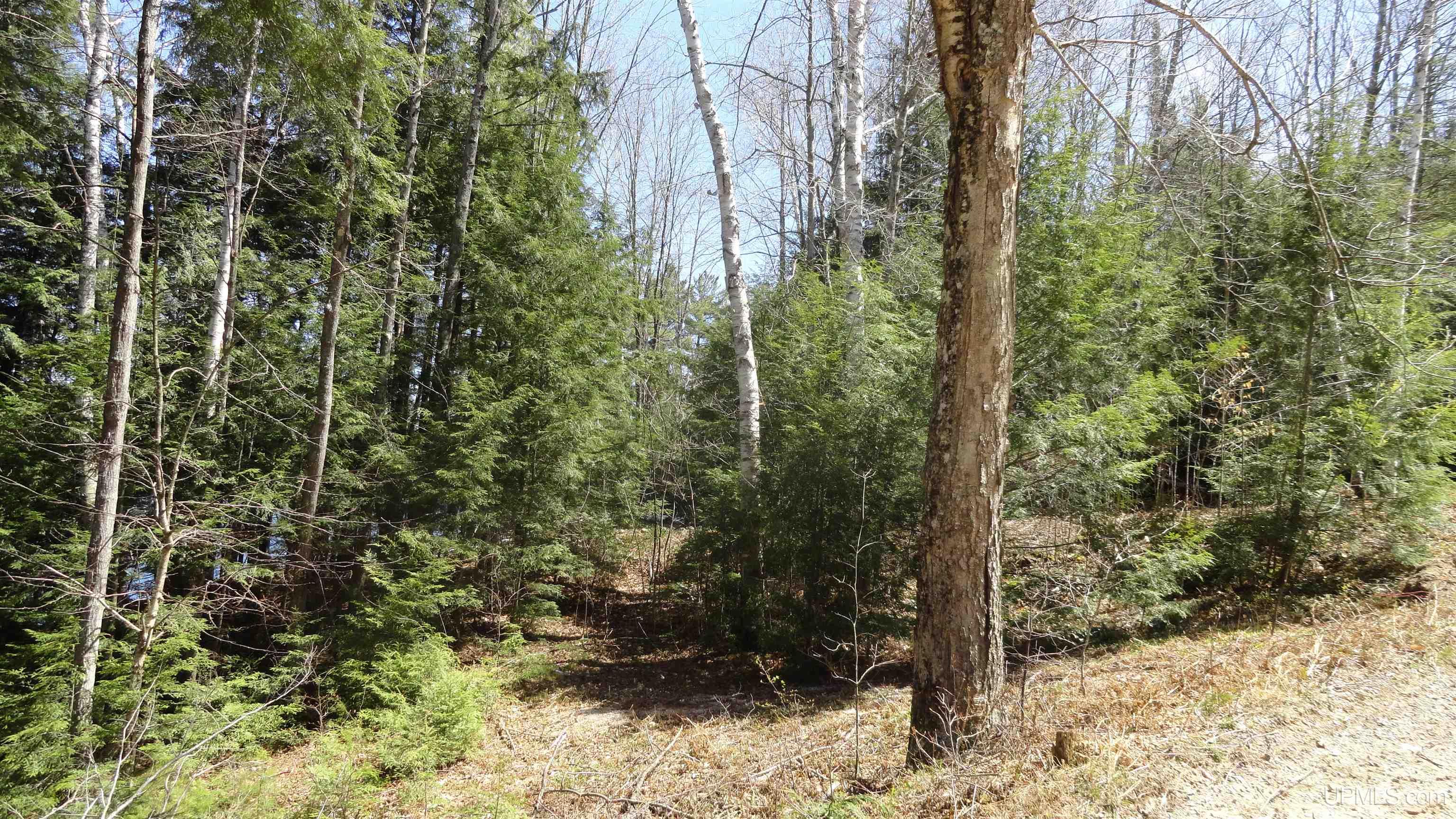 E9606 South Town Line Lake Road Wetmore, MI 49895 - Photo 6 of 6