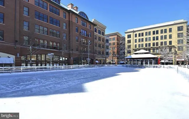 $2,000 | 118 Monroe Street, Unit 1181109, Rockville, MD 20850