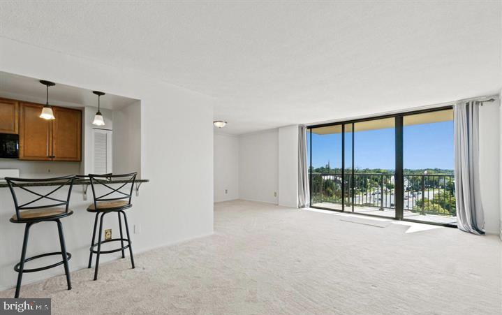 118 Monroe Street, Unit 1181109 Rockville, MD 20850 - Photo 7 of 41 a view of an empty room with a window