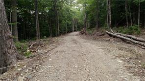Lot 14 Dreamland Escapes Alexander, ME 04694 - Photo 2 of 6 Photo