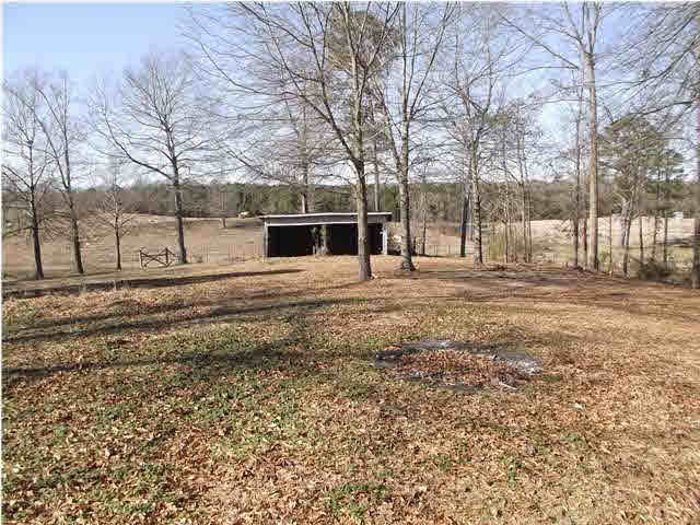 449 Dr Magee Road Mendenhall, MS 39114 - Photo 5 of 15 VIEW FROM BACK OF HOUSE