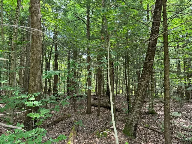 $119,900 | L1 California Road, Camden, NY 13316