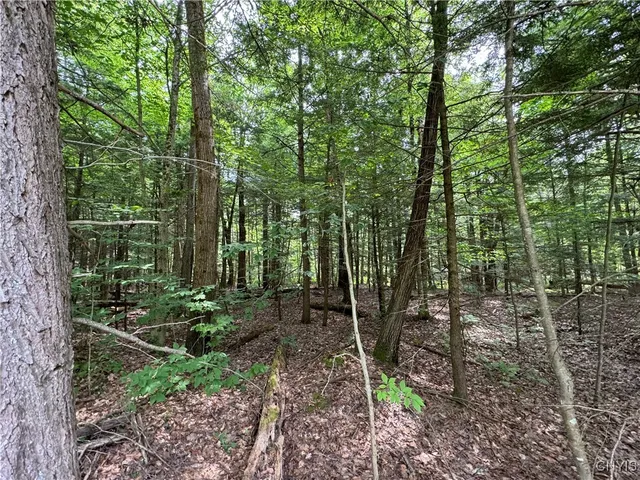 $119,900 | L1 California Road, Camden, NY 13316