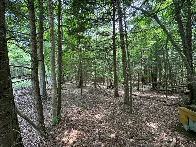 $119,900 | L1 California Road, Camden, NY 13316