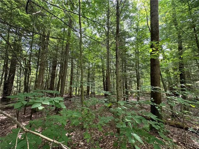 $119,900 | L1 California Road, Camden, NY 13316