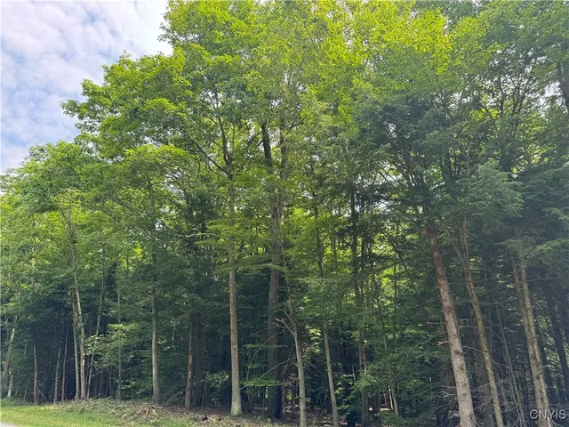 $119,900 | L1 California Road, Camden, NY 13316