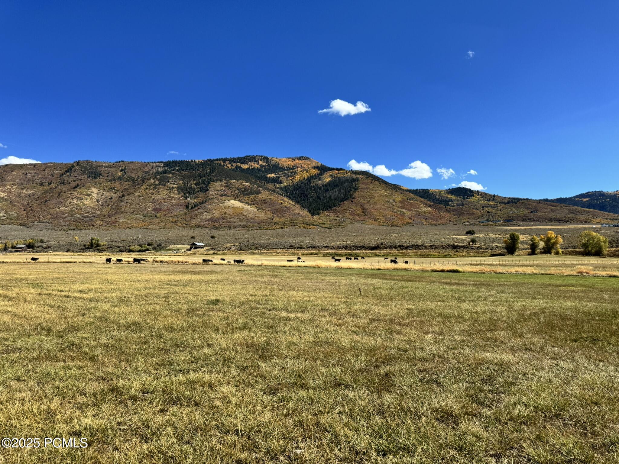 984 East Boulderville Road Kamas, UT 84036 - Photo 22 of 39