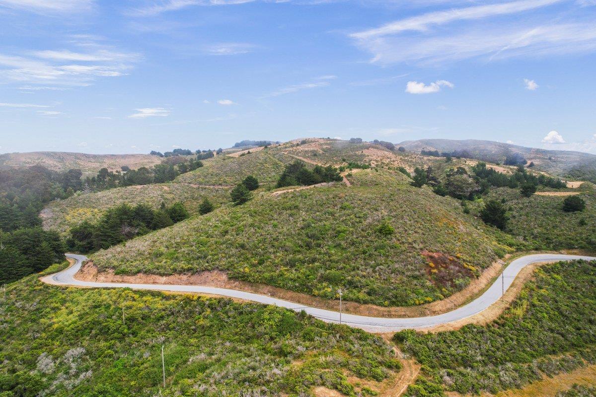 0 Stage Road San Gregorio, CA 94074 - Photo 48 of 48 a view of a back yard