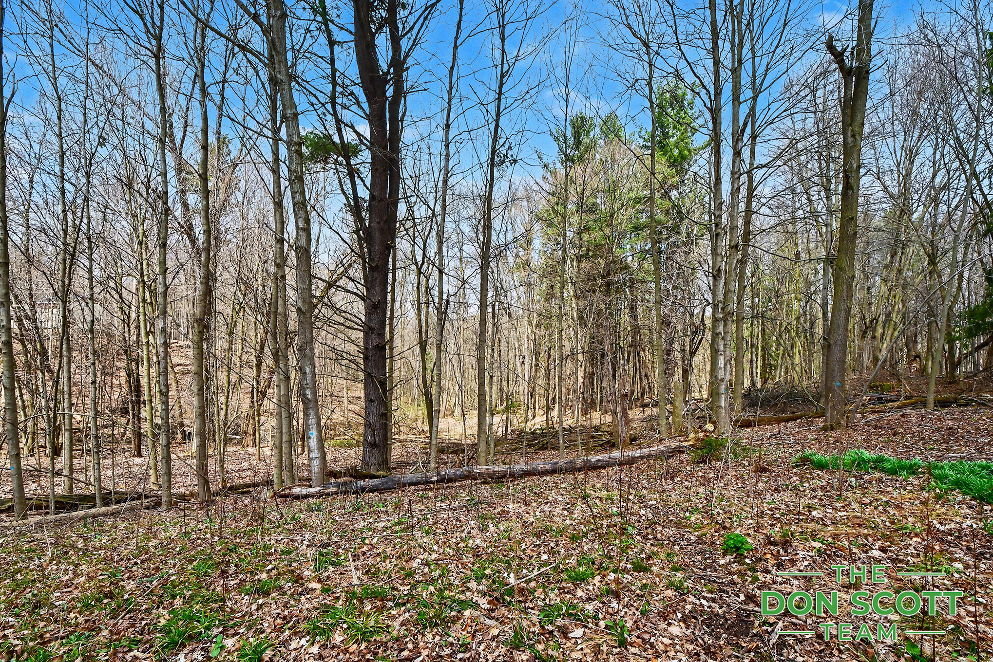 2589 Rector Avenue Northeast Rockford, MI 49341 - Photo 22 of 24 Land