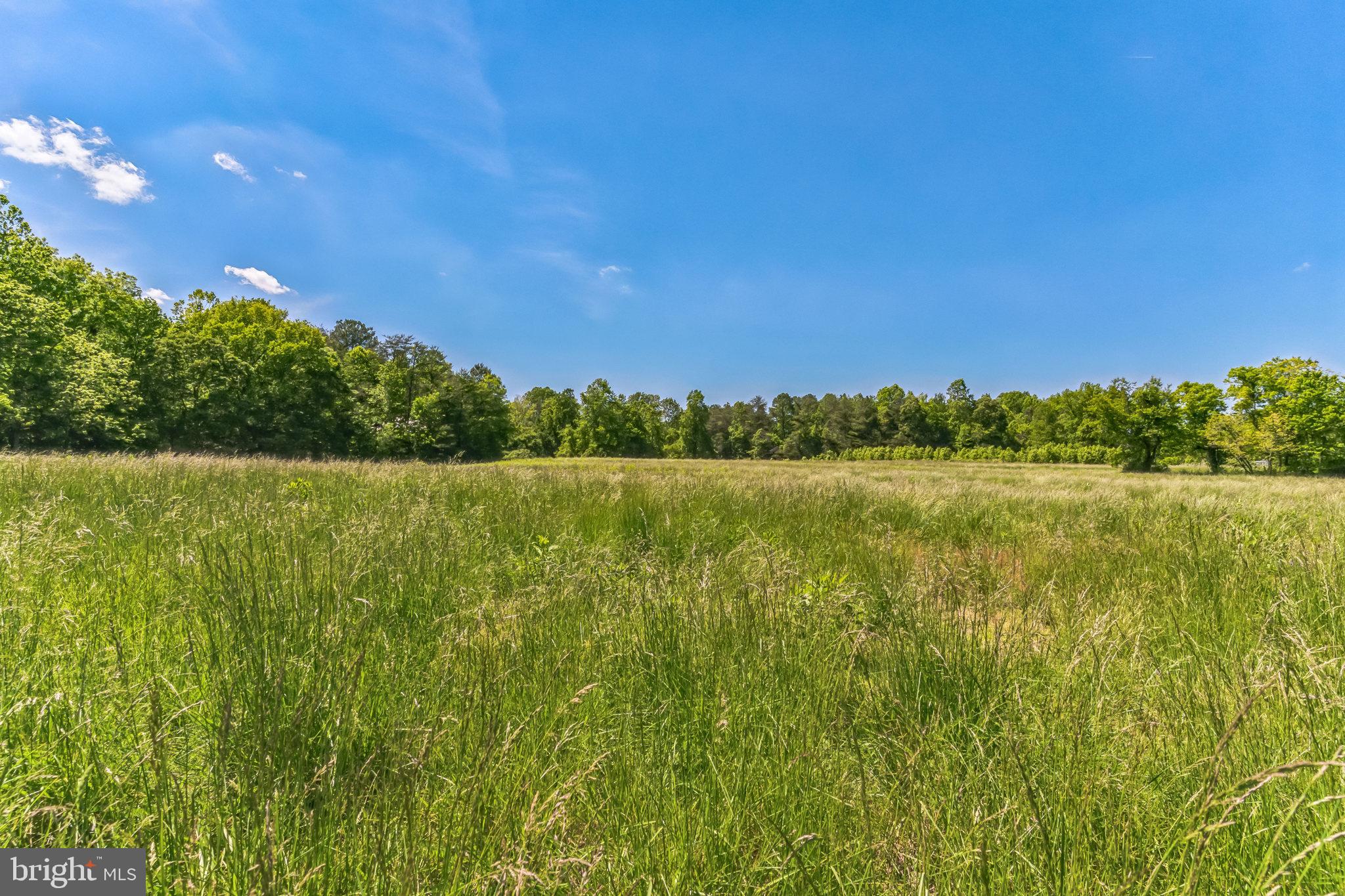 a view of lake with green space